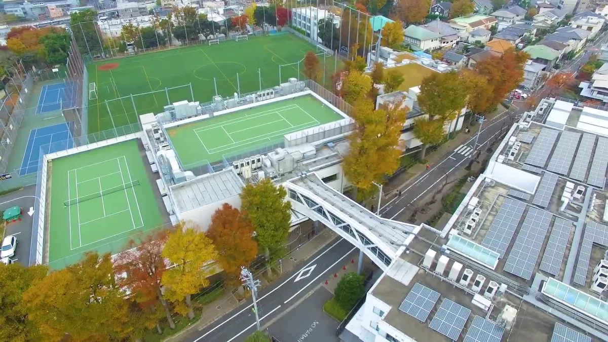 St Mary's International School