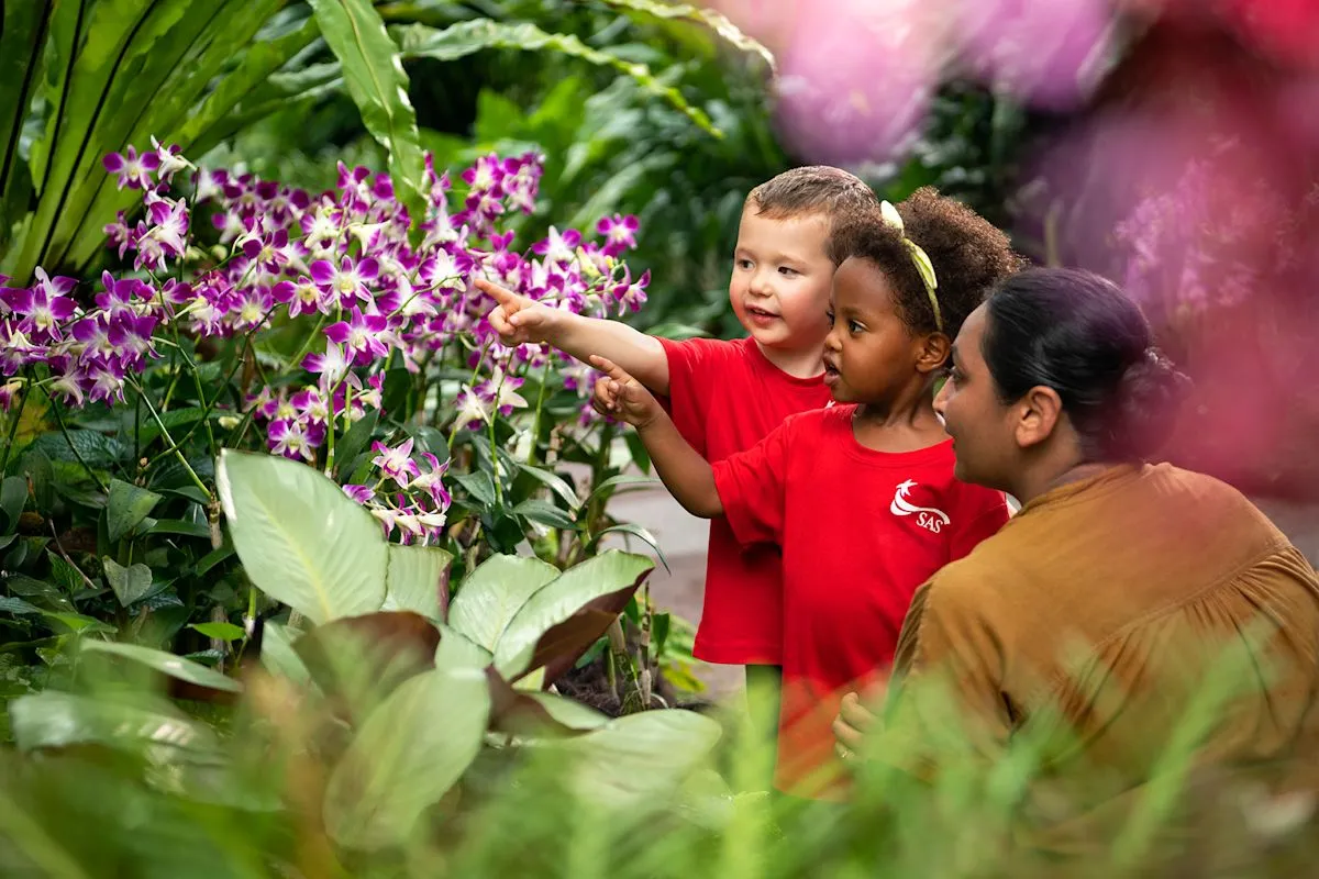 Singapore American School