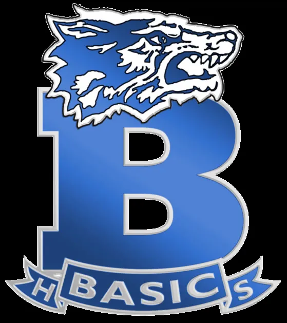 Basic Academy of International Studies