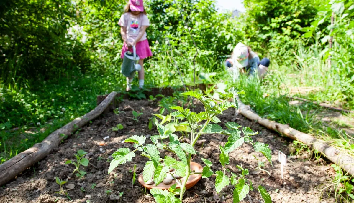 Svenska Skolan i Wien — photo 5