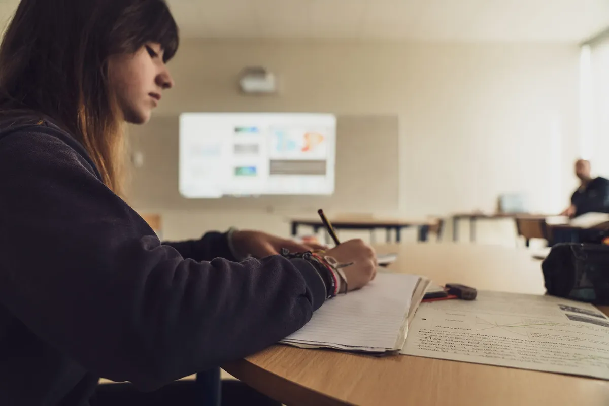 Aprendizes — photo 4