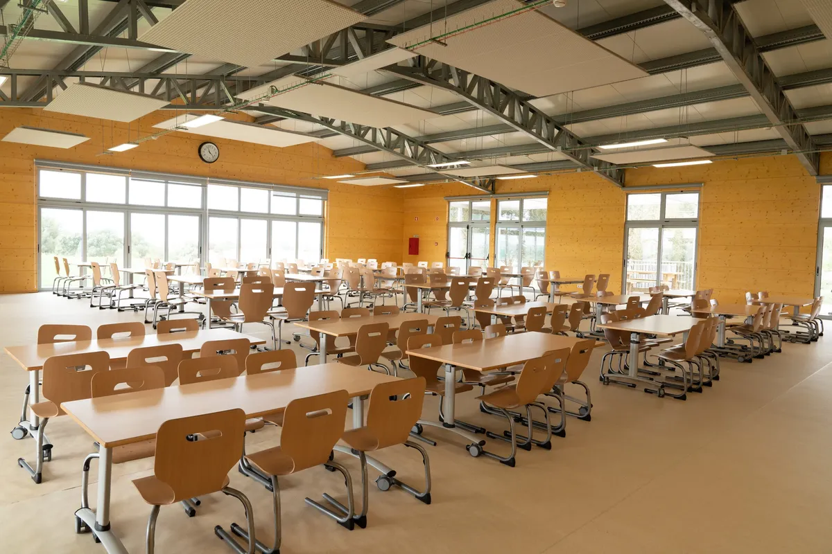 Aprendizes — photo 8