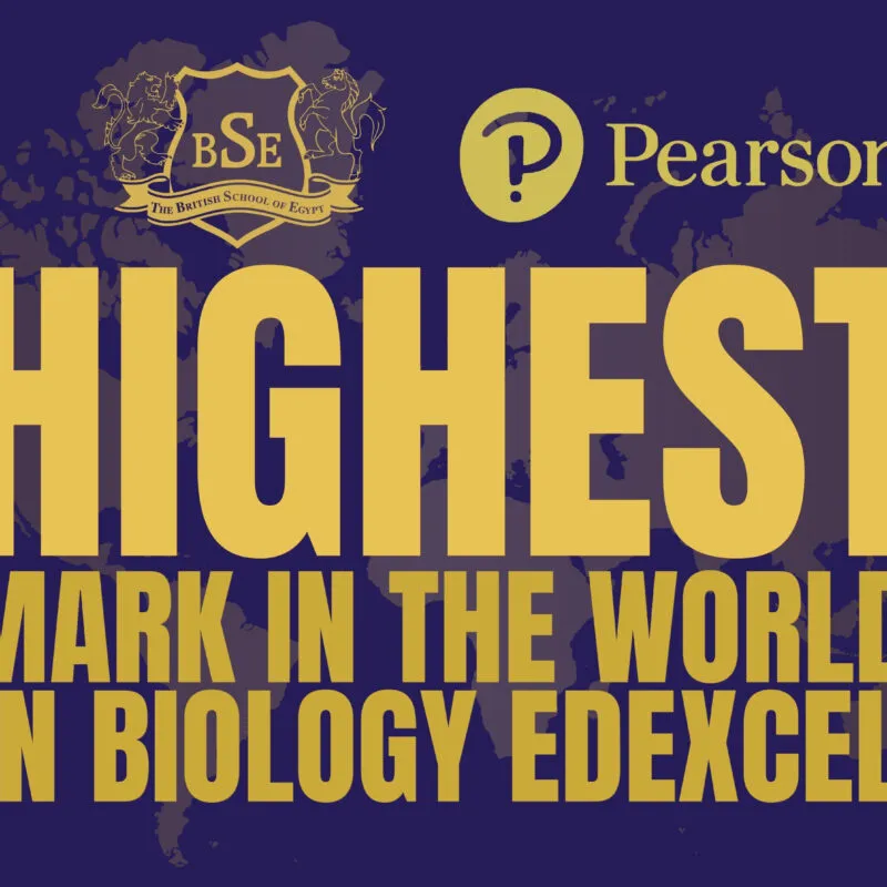 The British School of Egypt — photo 4