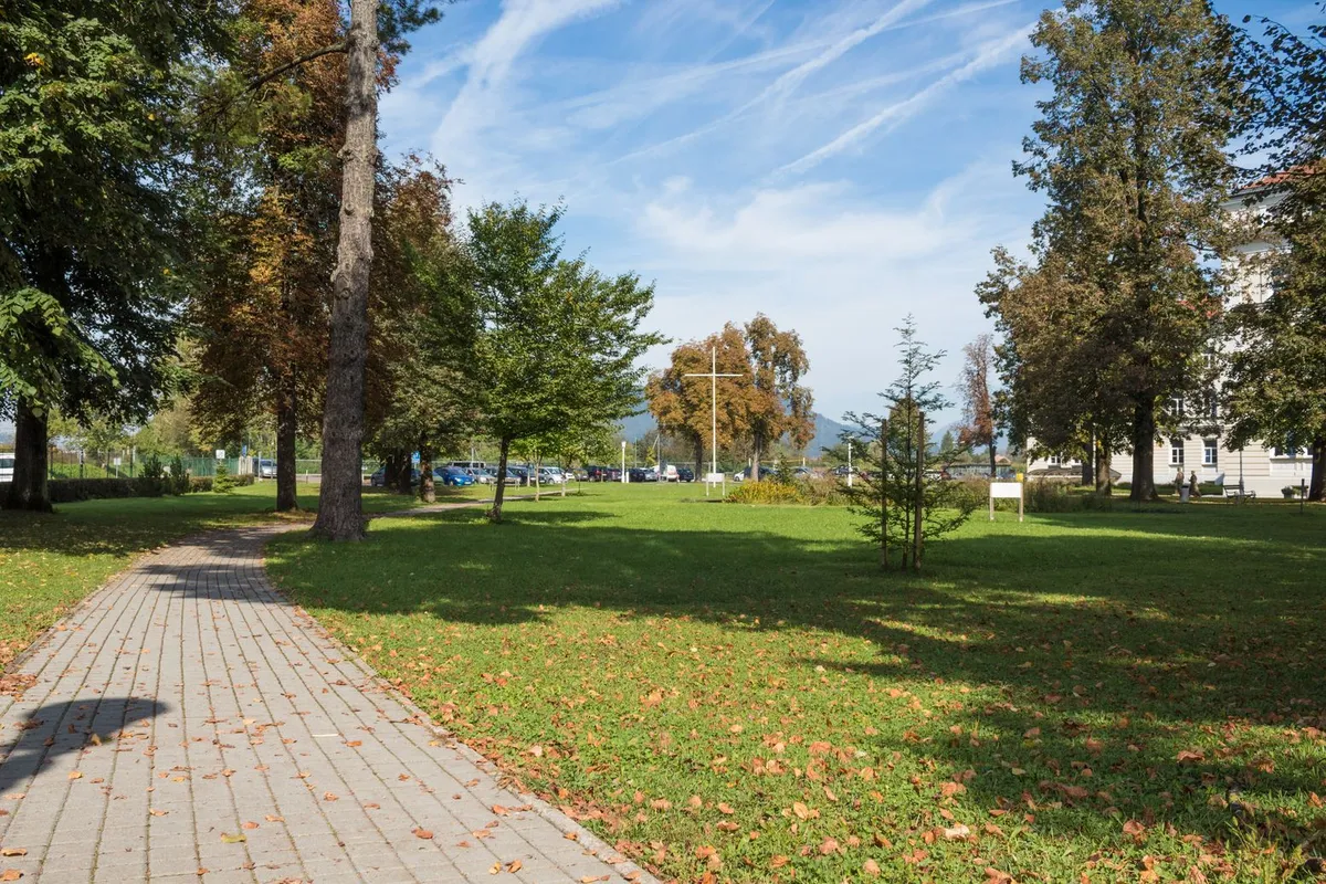 Vector International Academy — photo 2