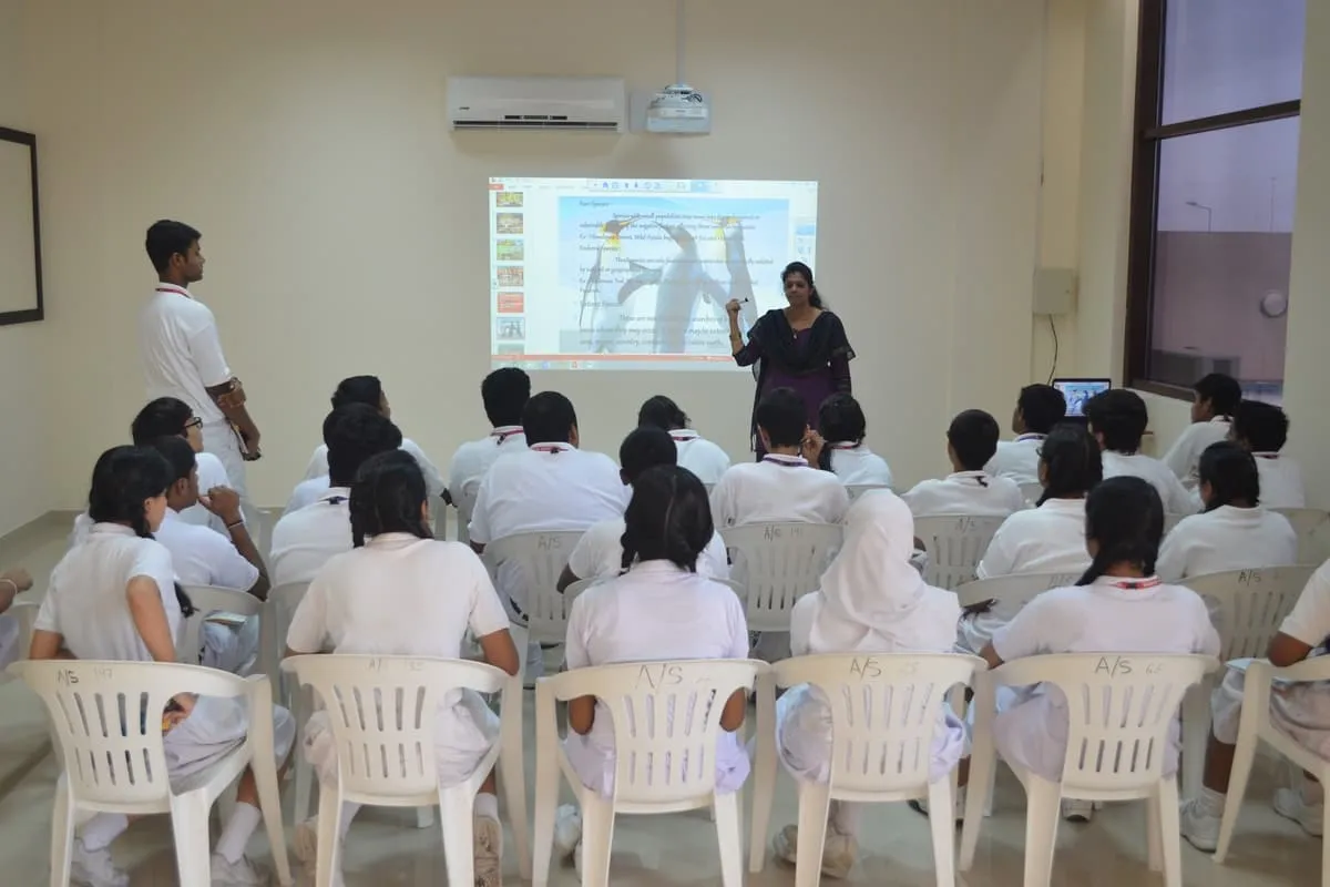 The Asian School — photo 3