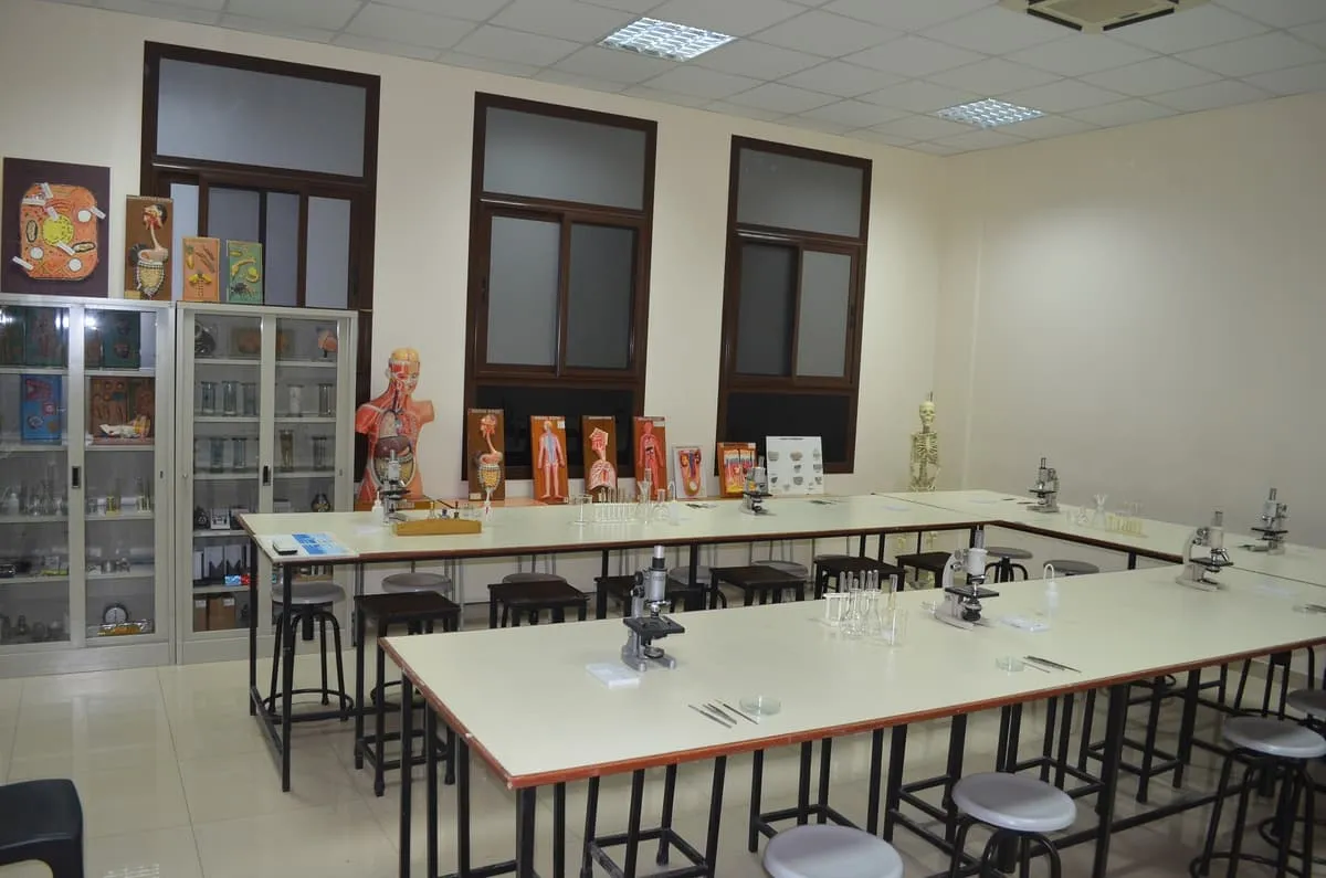 The Asian School — photo 8