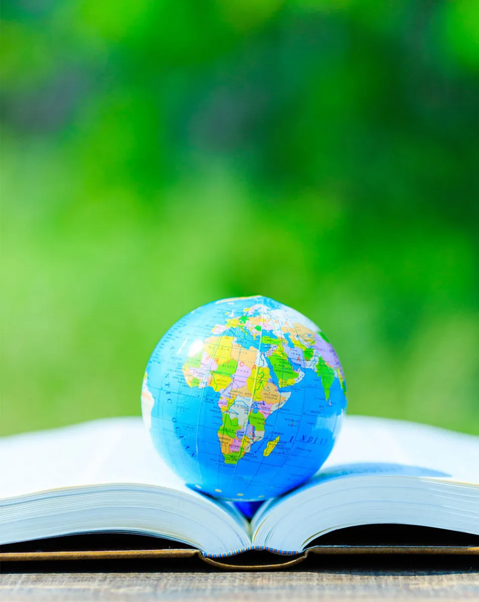 TED Ronesans College — photo 1