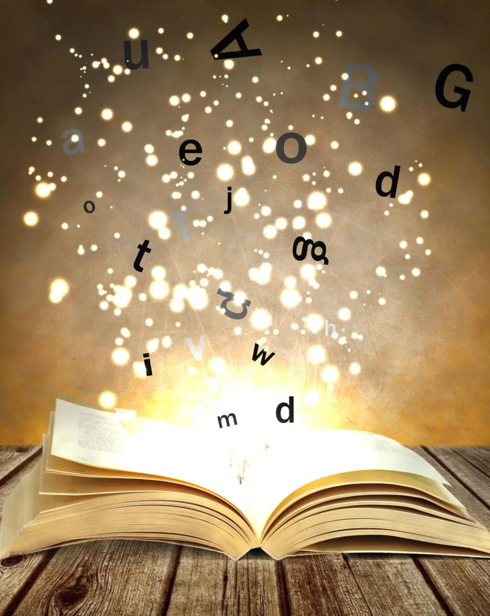 TED Ronesans College — photo 2