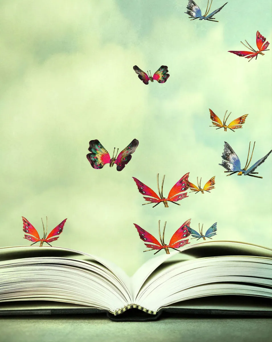 TED Ronesans College — photo 3