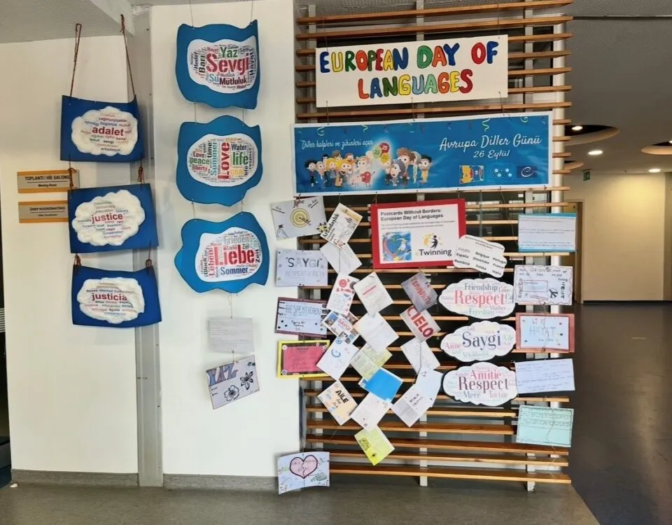 TED Ronesans College — photo 4