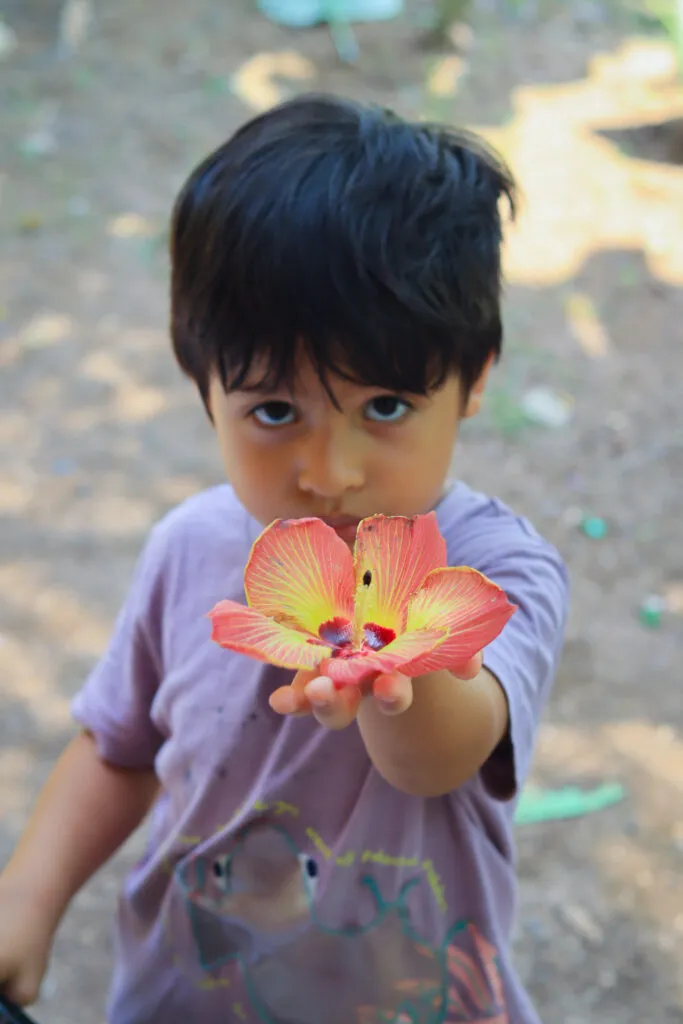 Wonder Intercultural School — photo 3