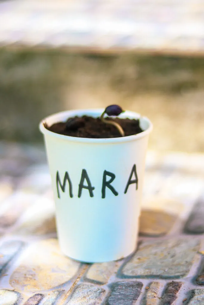 Wonder Intercultural School — photo 4