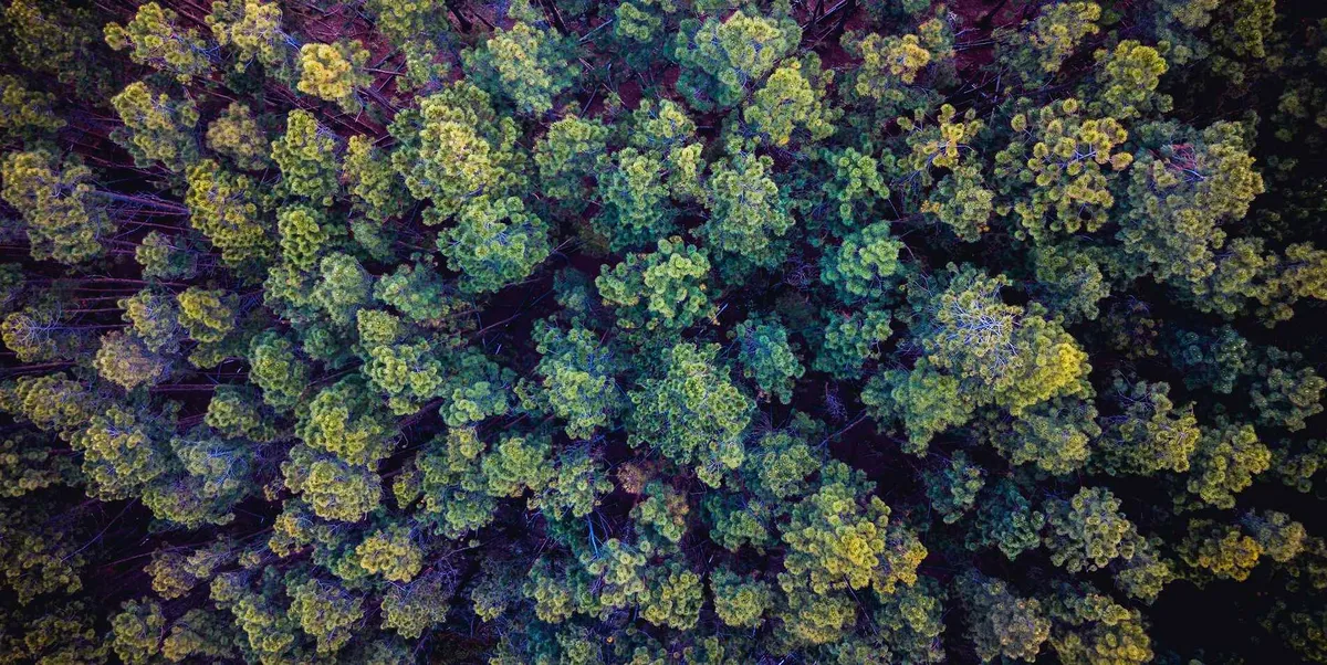 Hypha International School — photo 1