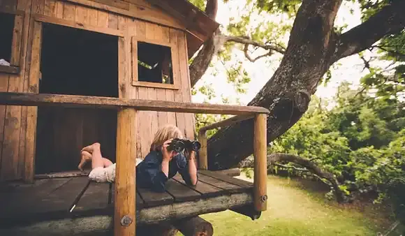 Hypha International School — photo 3