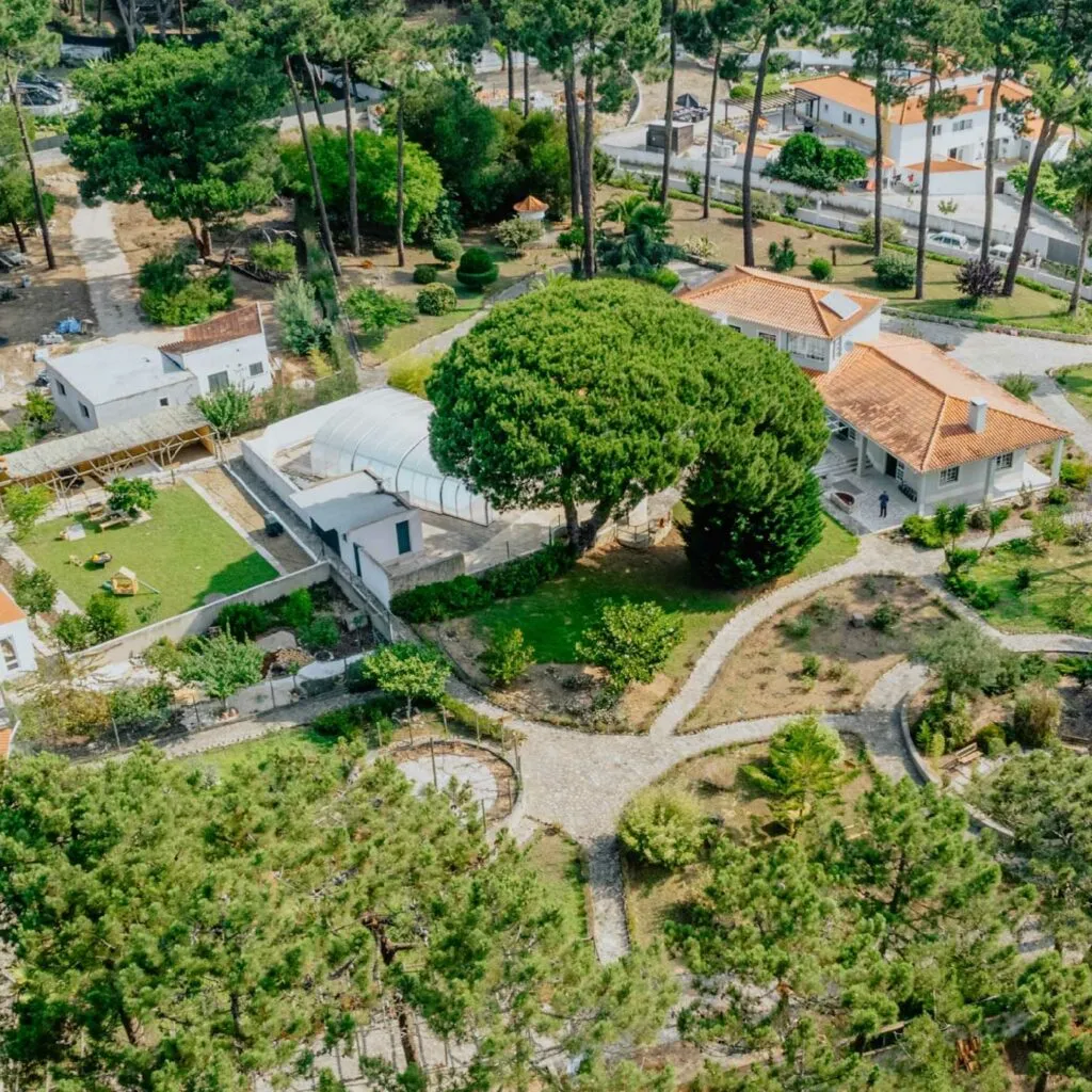 Hypha International School — photo 8