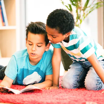 Escola Suíço-Brasileira Rio de Janeiro — photo 4