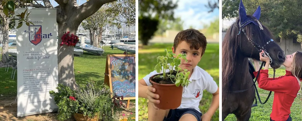 MDI International College